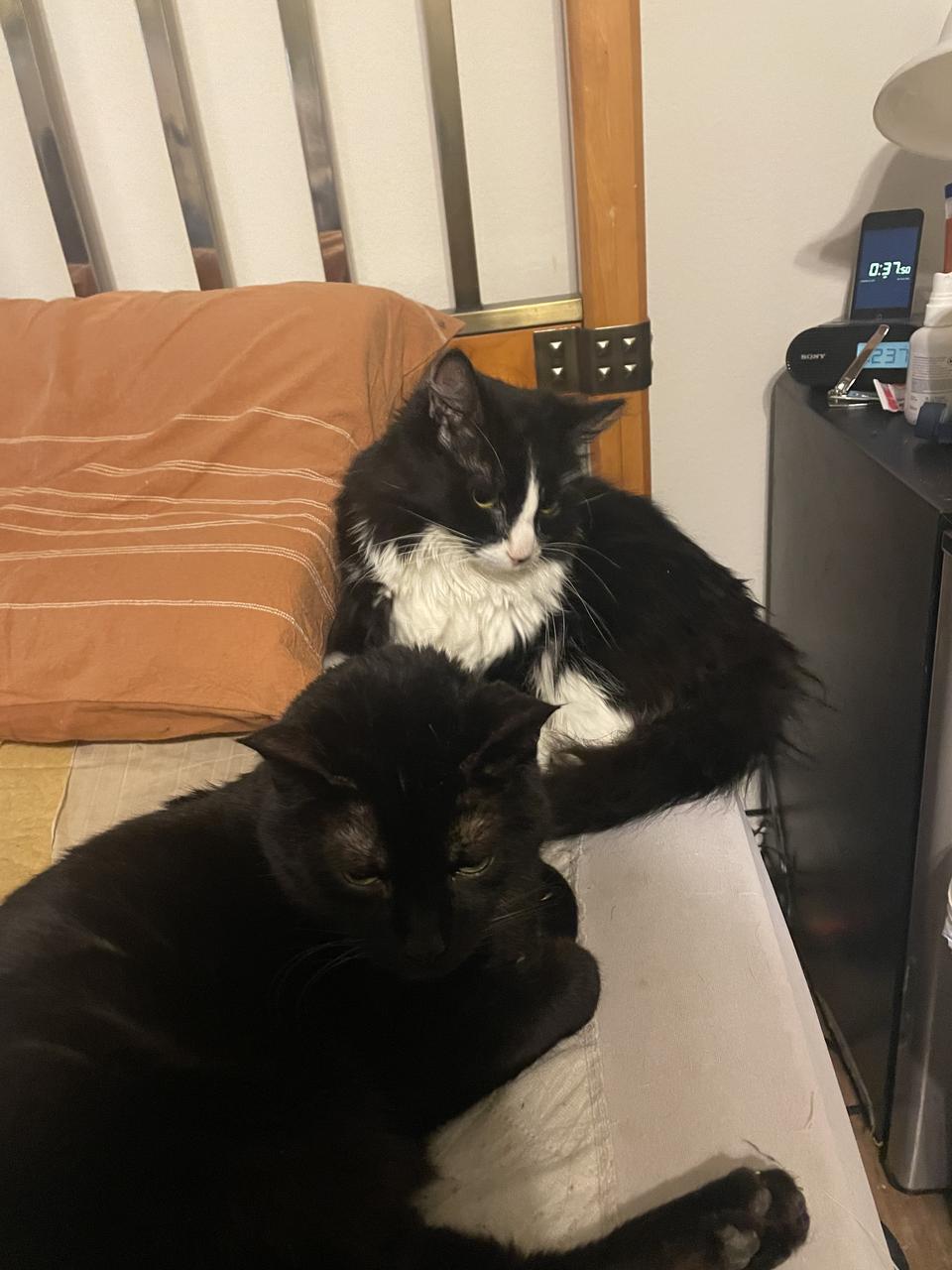 Profile photo 9 of 10