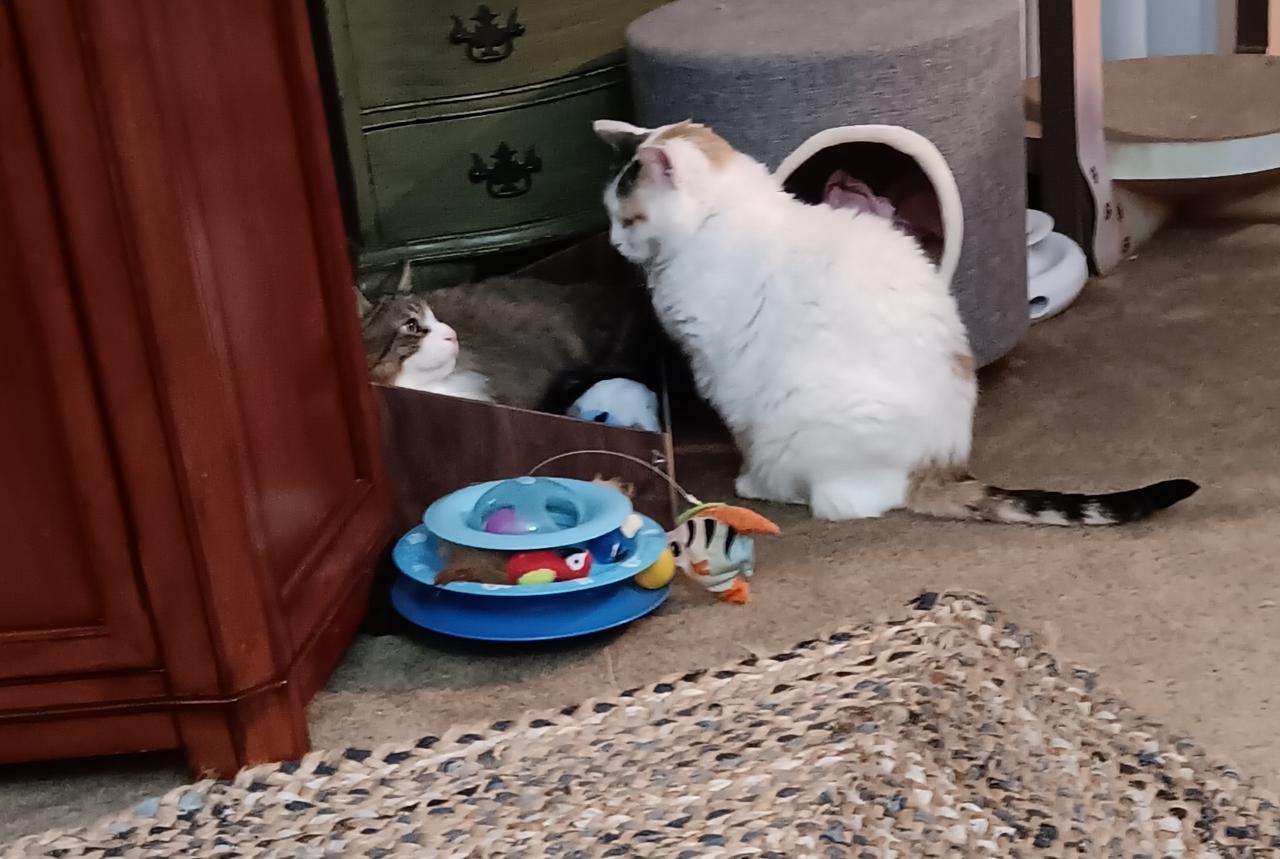 Profile photo 6 of 13