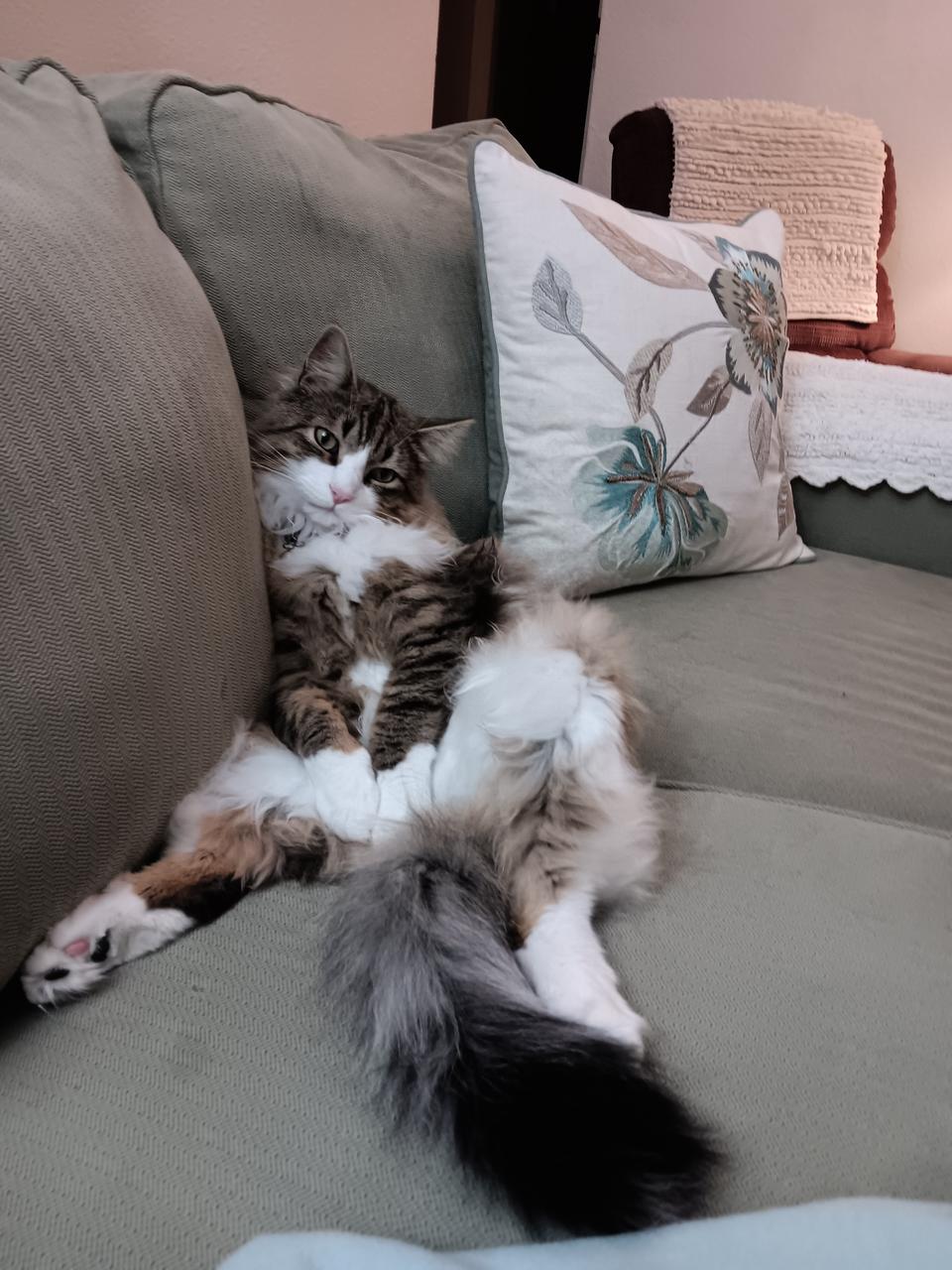 Profile photo 10 of 13