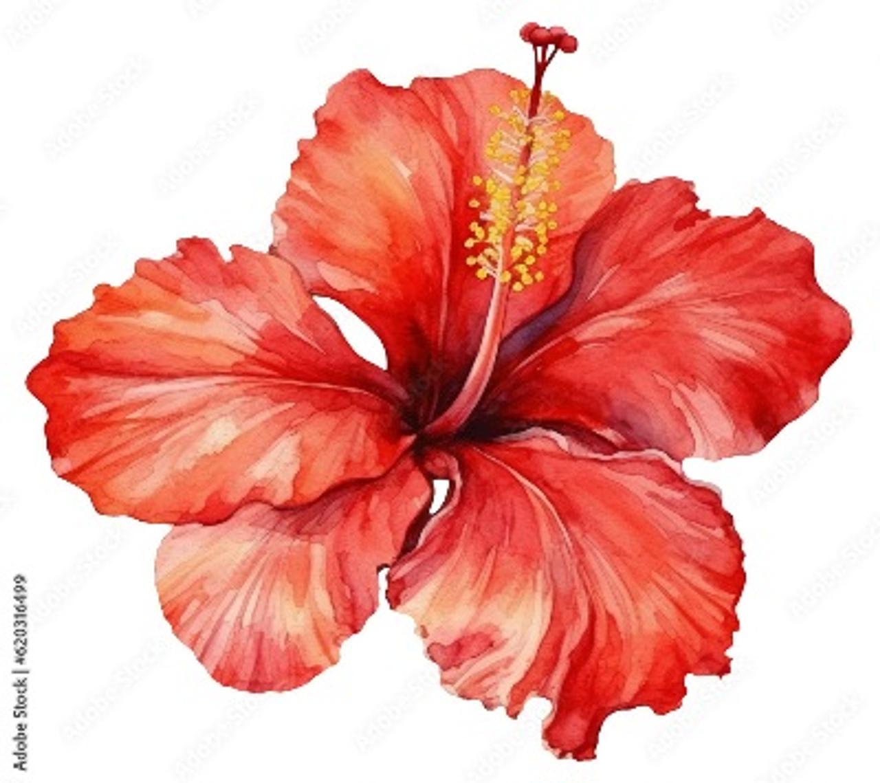 Profile photo 13 of 13