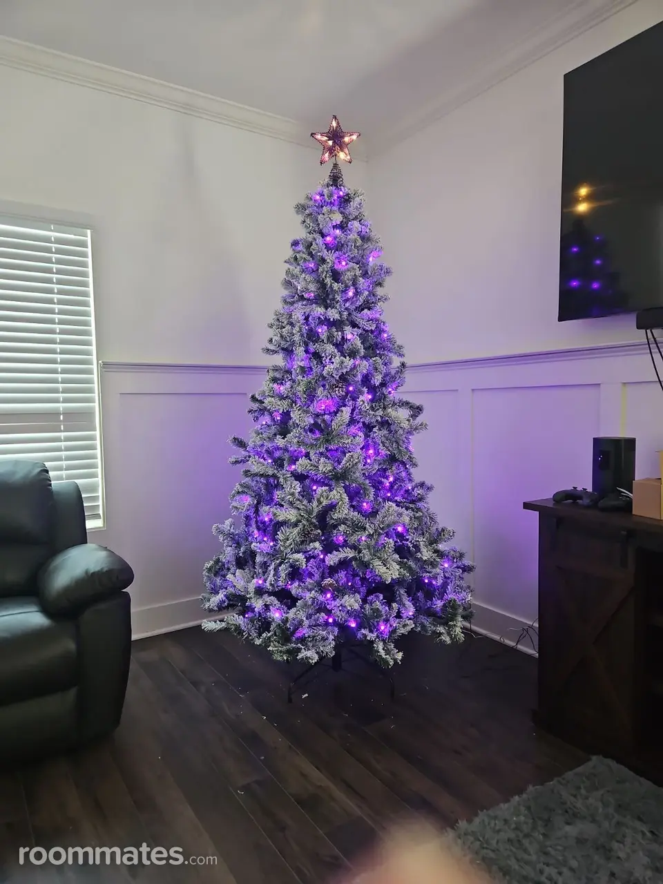 Profile photo 9 of 12