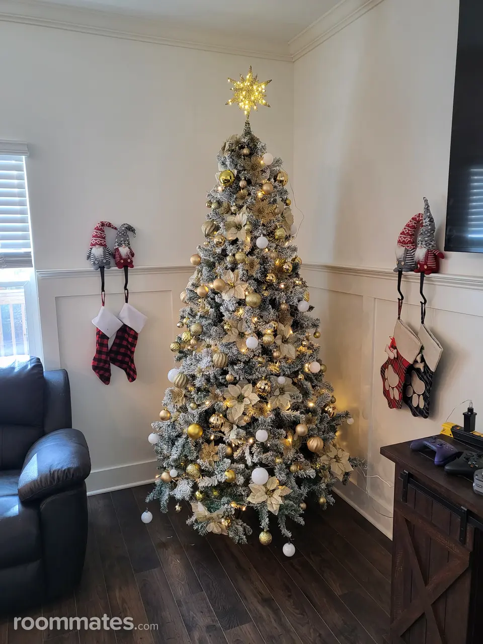 Profile photo 8 of 11