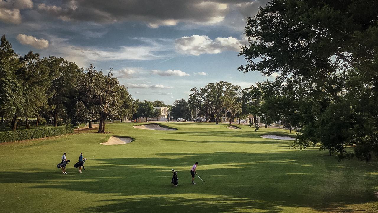 Profile photo 2 of 13