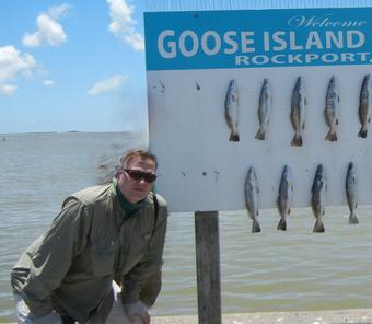 Roommate looking Coppell, TX, $800