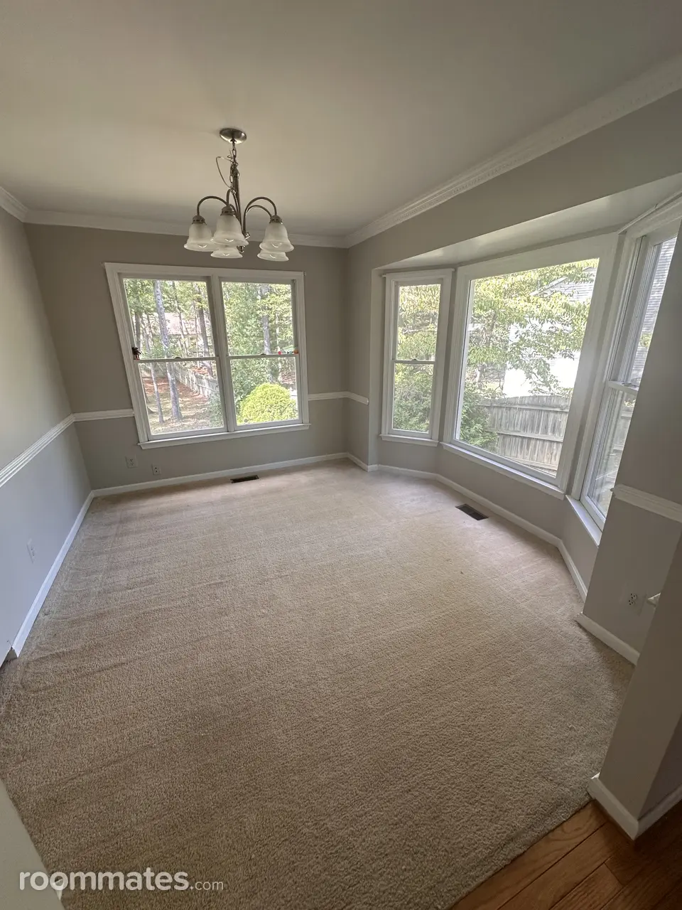 Profile photo 1 of 6