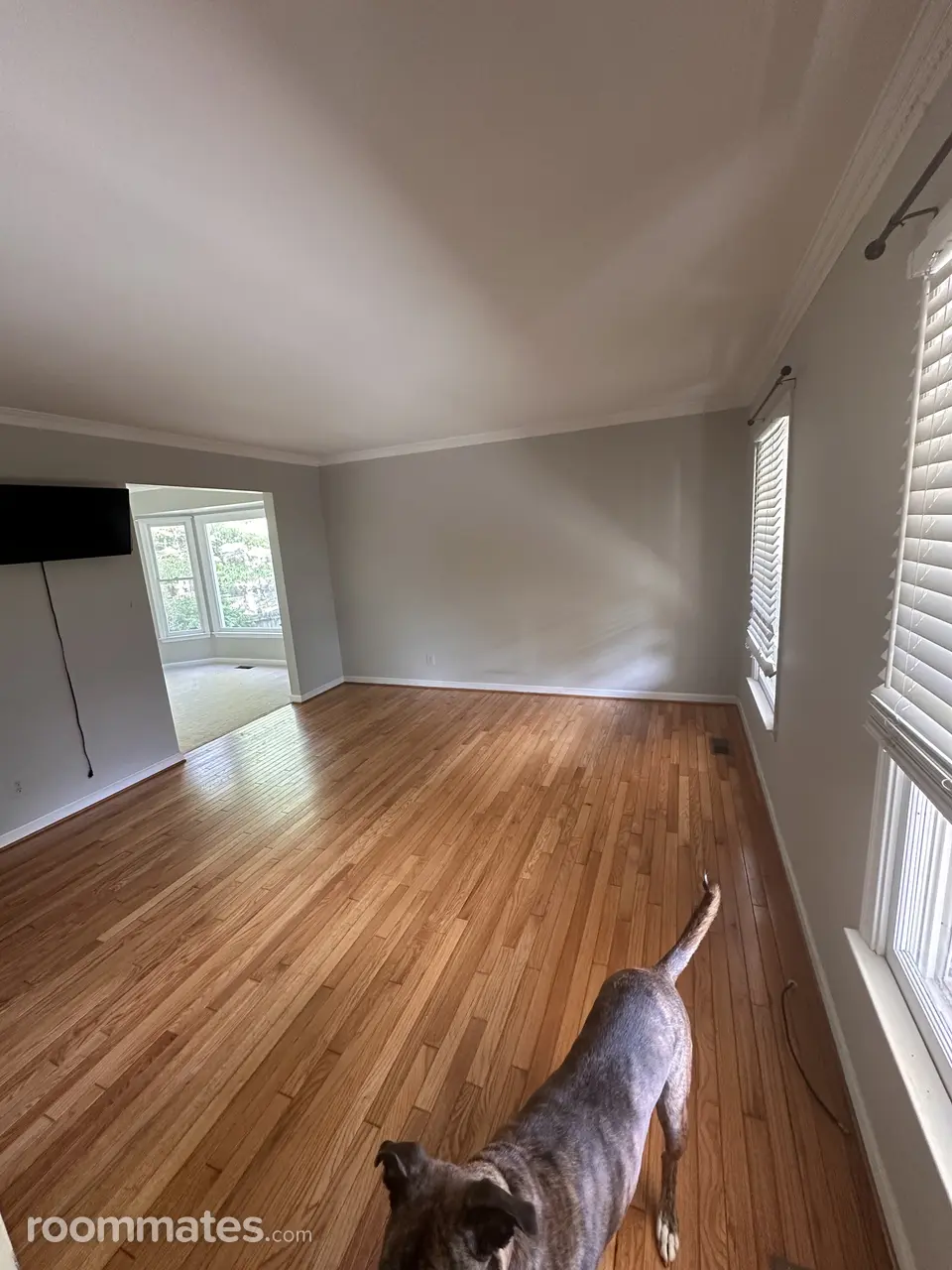 Profile photo 4 of 6