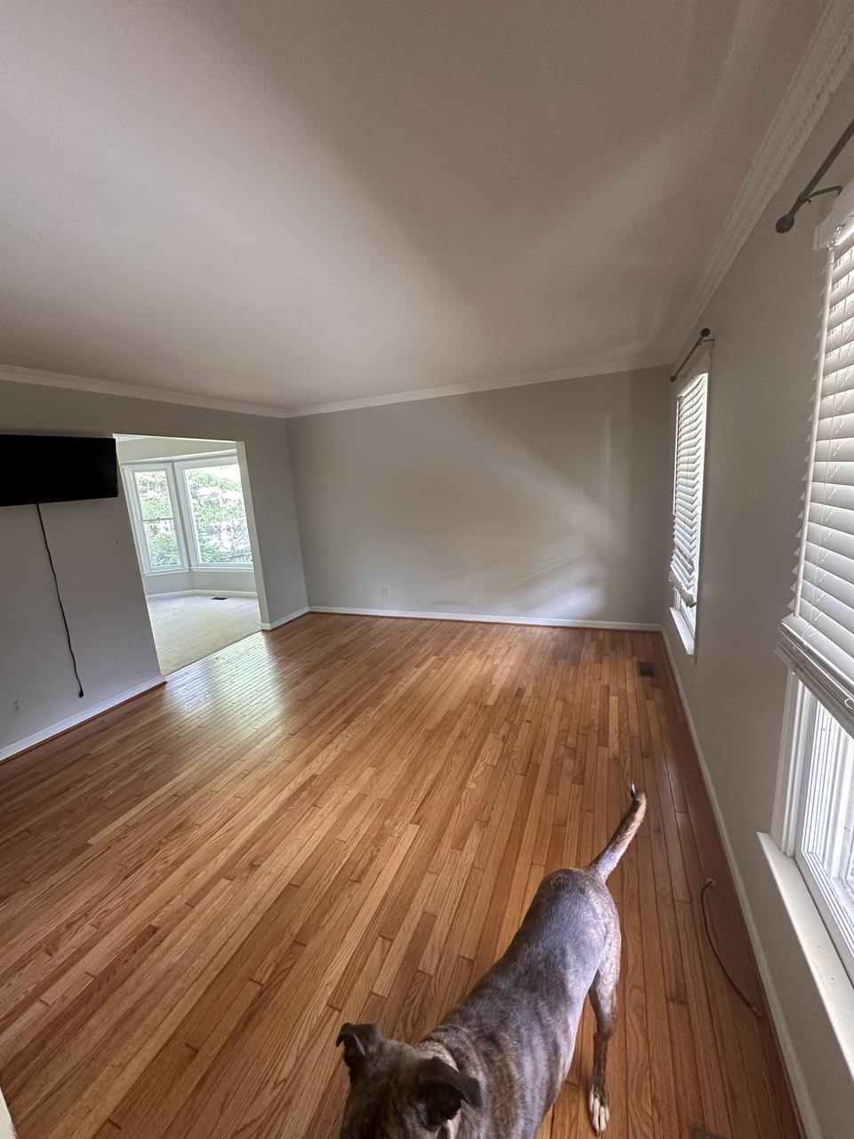 Profile photo 2 of 4