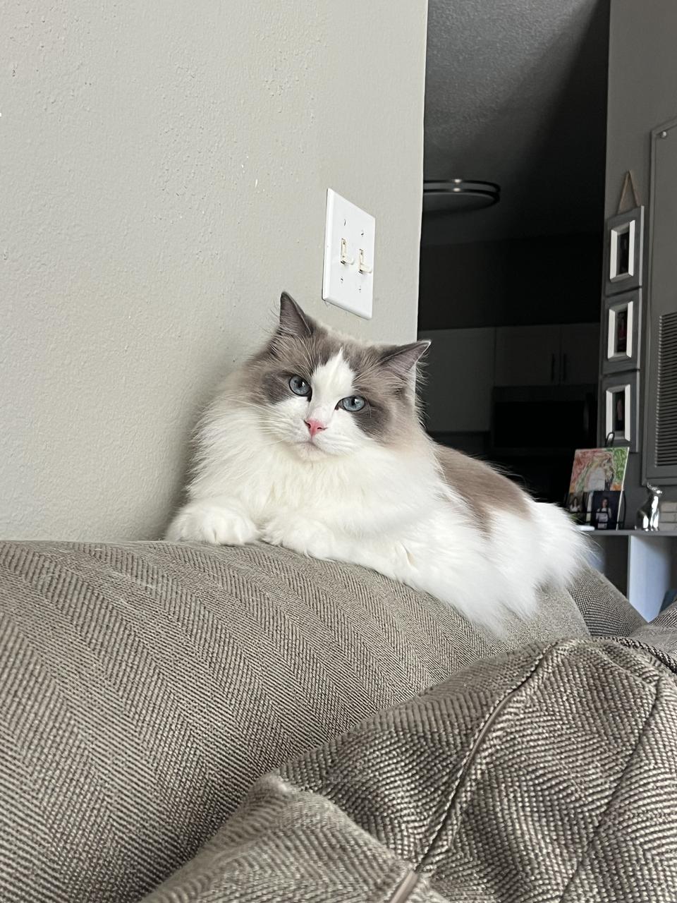 Profile photo 4 of 7