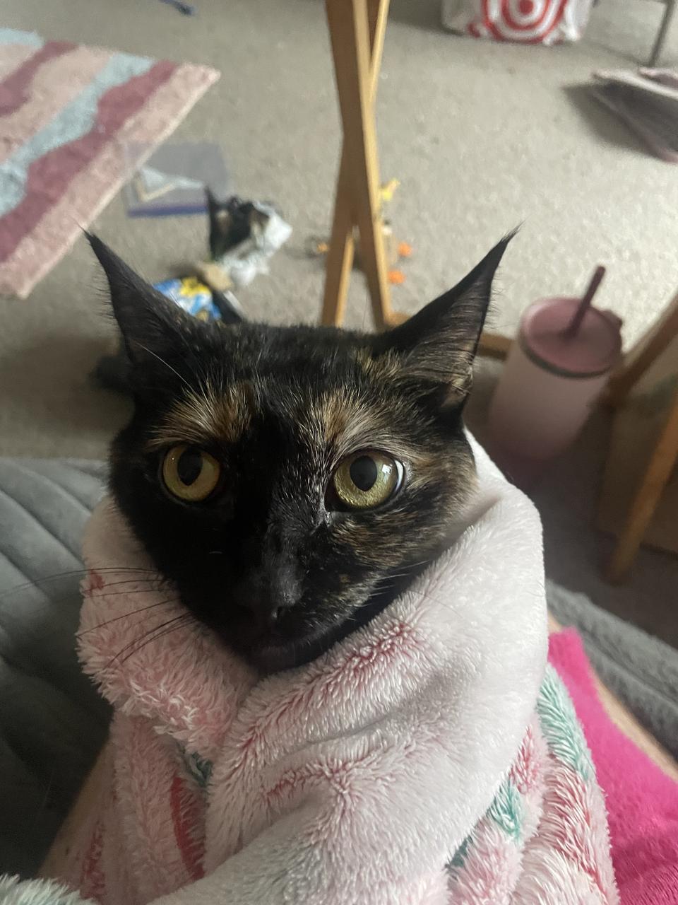 Profile photo 5 of 7