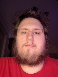 Roommate looking San Antonio, TX, $600