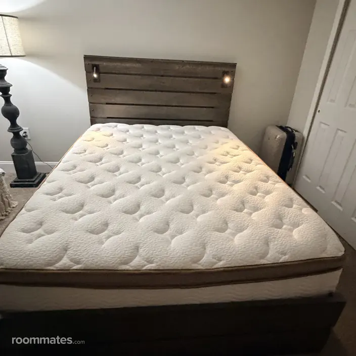 Room for rent in St. Petersburg, FL $800, apartment