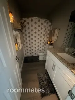 Room for rent in St. Petersburg, FL $1000, apartment