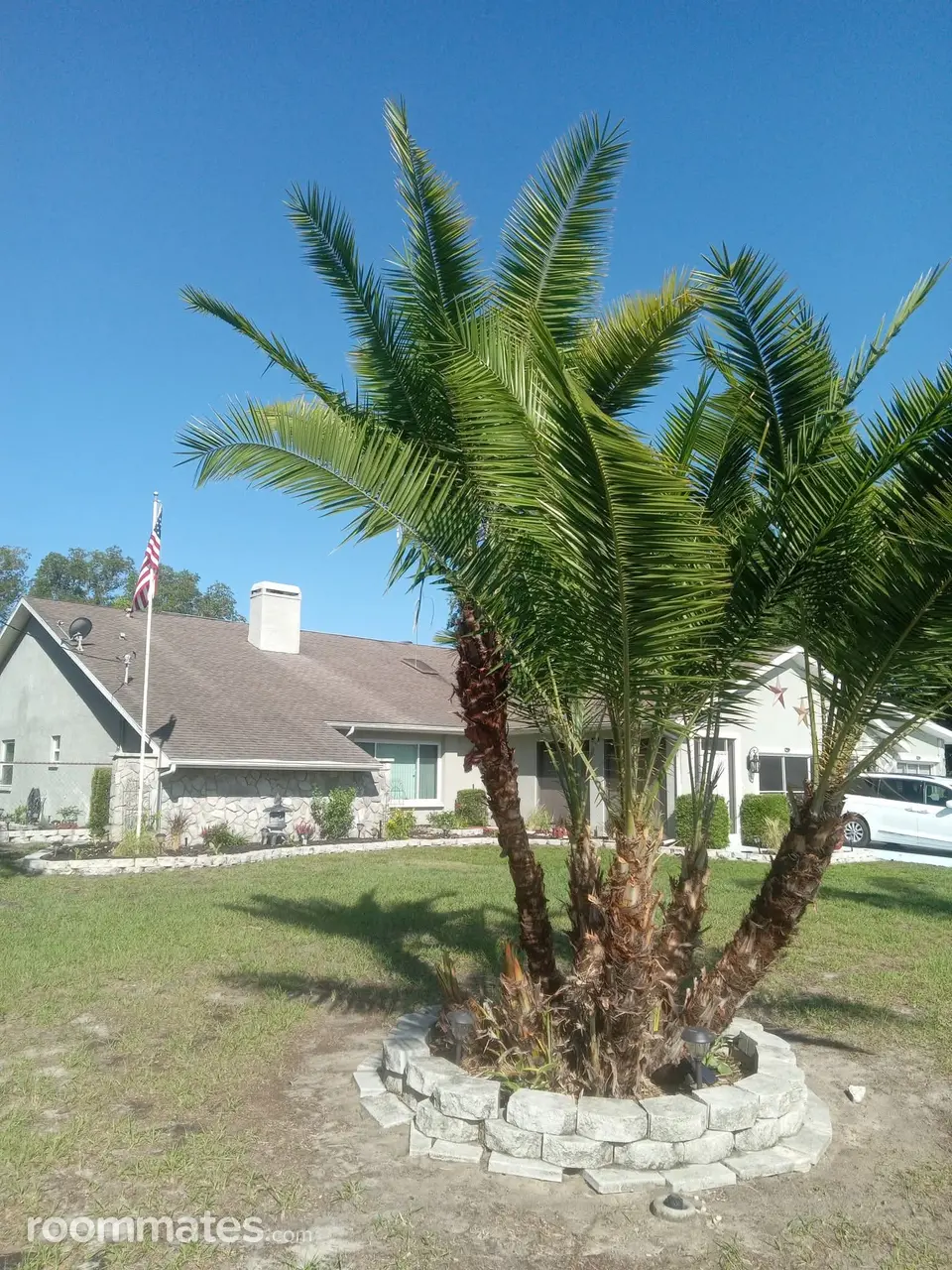 Profile photo 6 of 8