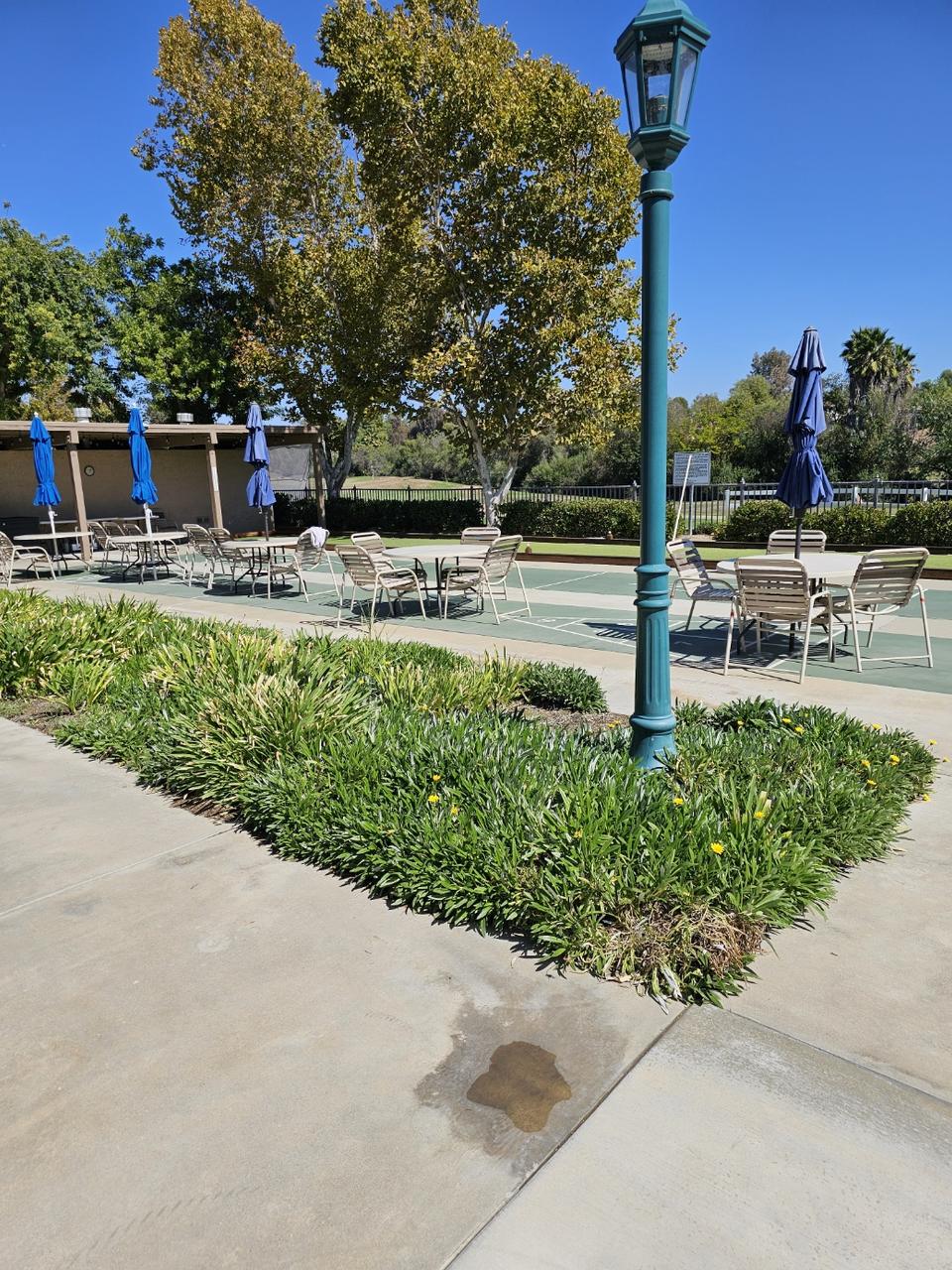 Profile photo 9 of 11