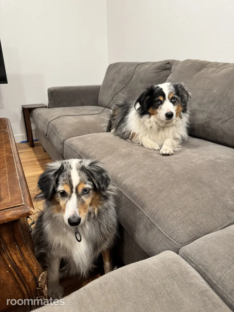 Profile photo 8 of 12