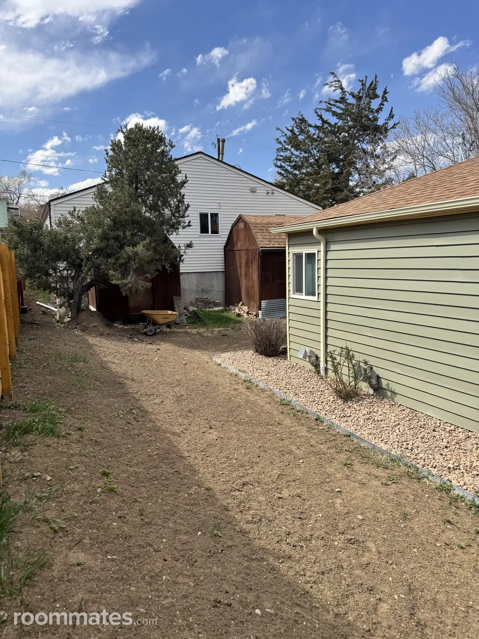 Profile photo 6 of 12