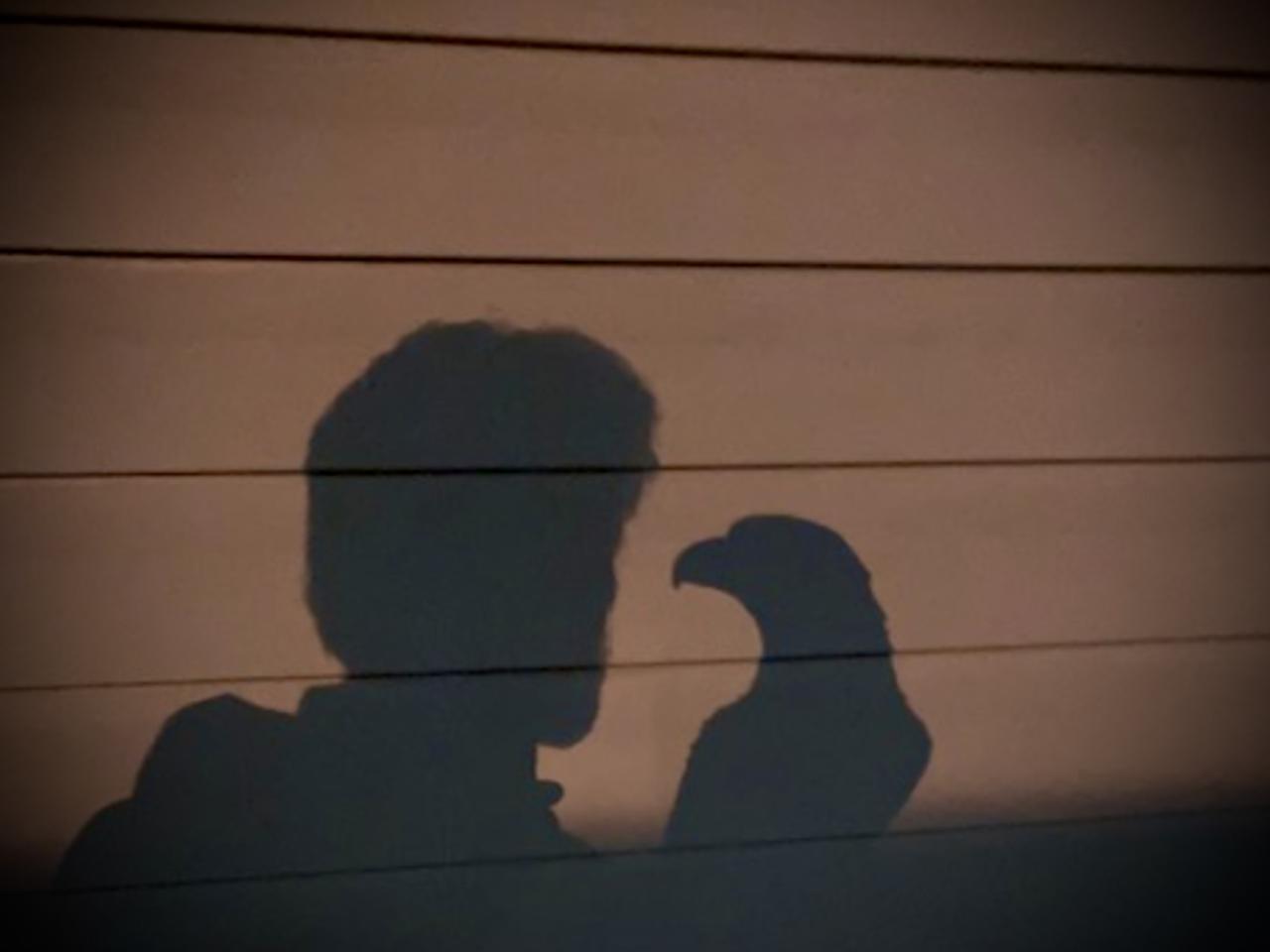 Profile photo 2 of 2