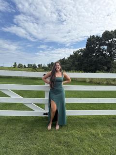 Roommate looking Houston, TX, $900