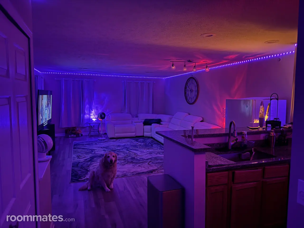 Profile photo 7 of 7