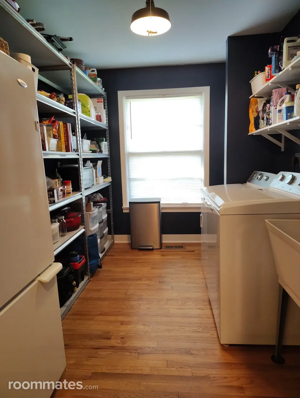 Profile photo 10 of 11