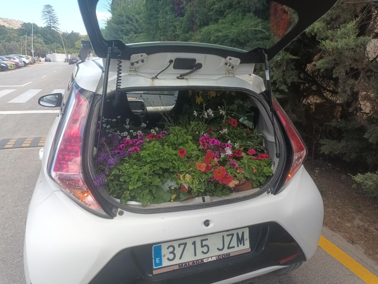 Profile photo 4 of 7