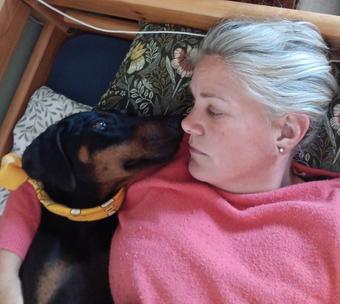 Roommate looking Silver Spring, MD, $600