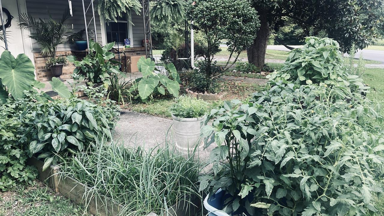 Profile photo 9 of 11