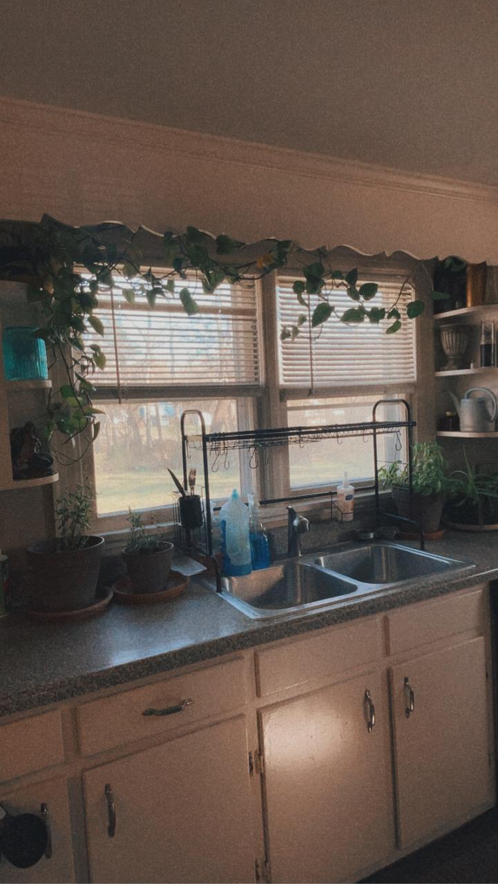 Profile photo 6 of 11