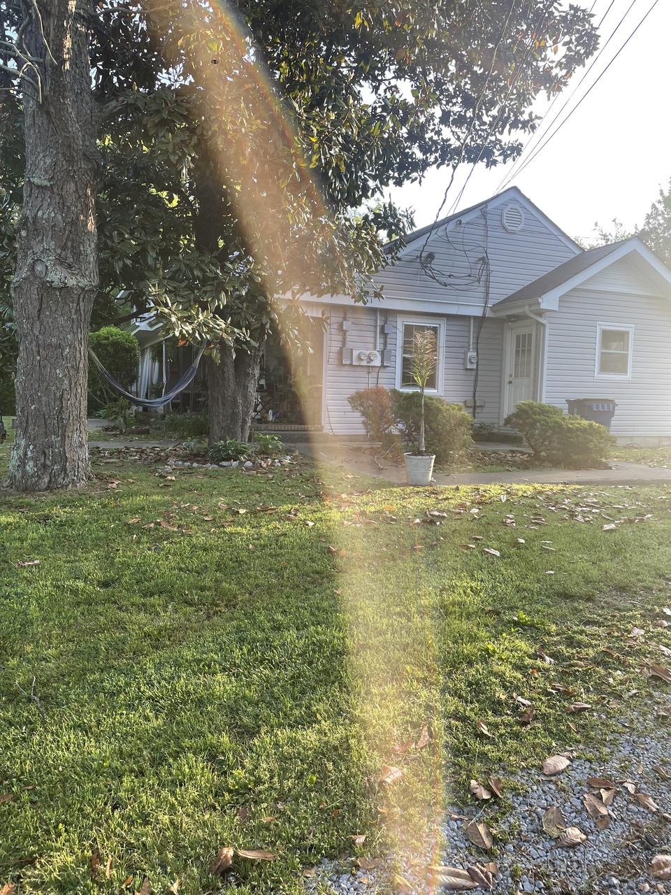 Profile photo 10 of 11