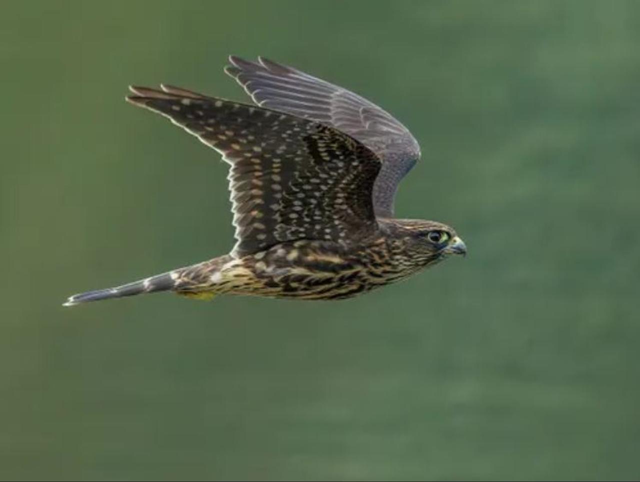 Profile photo 11 of 11