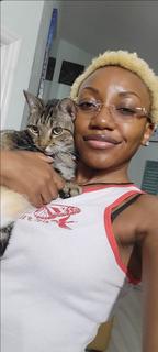 Roommate looking Fort Myers, FL, $1000