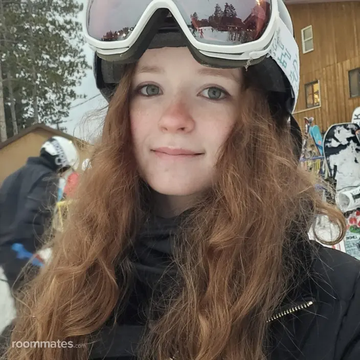Roommate looking Saint Paul, MN, $800