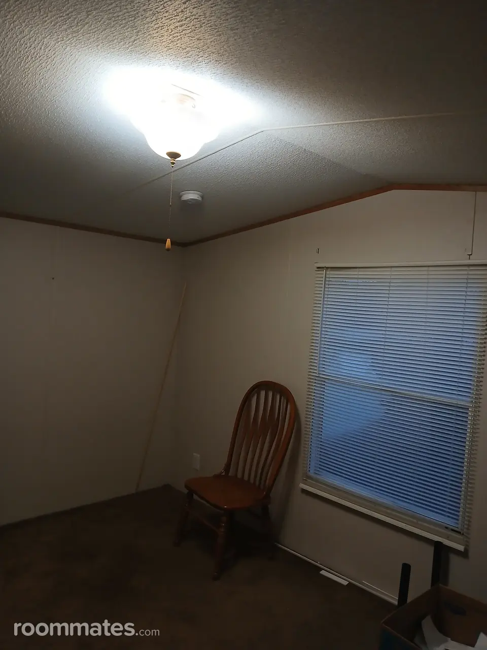 Profile photo 4 of 5