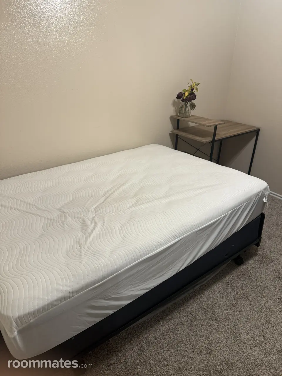 Profile photo 4 of 7