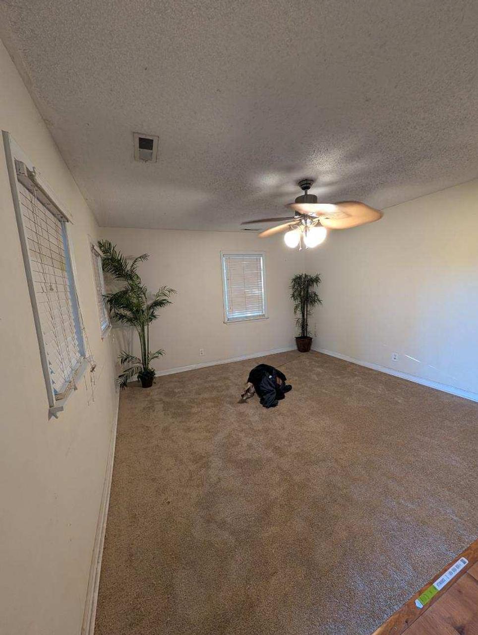 Profile photo 4 of 11