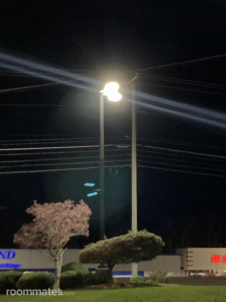 Profile photo 9 of 10