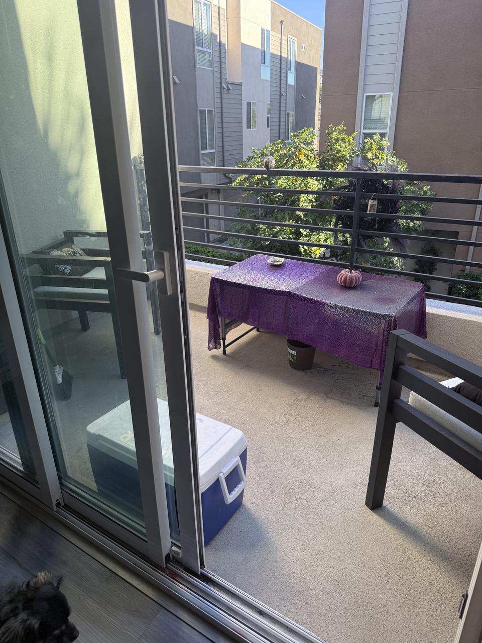 Profile photo 8 of 10