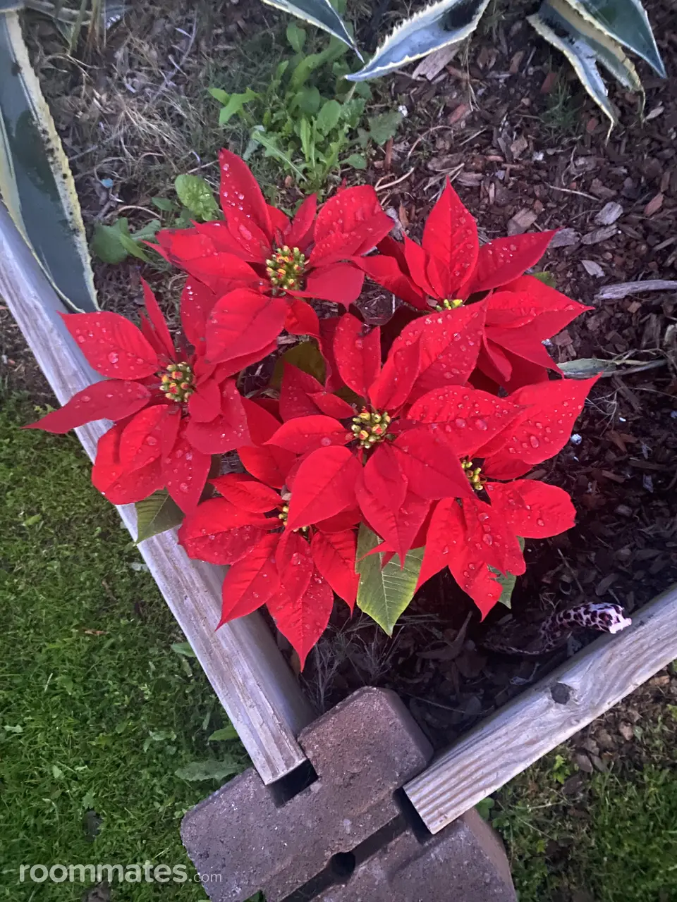 Profile photo 17 of 18