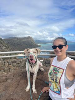 Roommate looking San Antonio, TX, $500