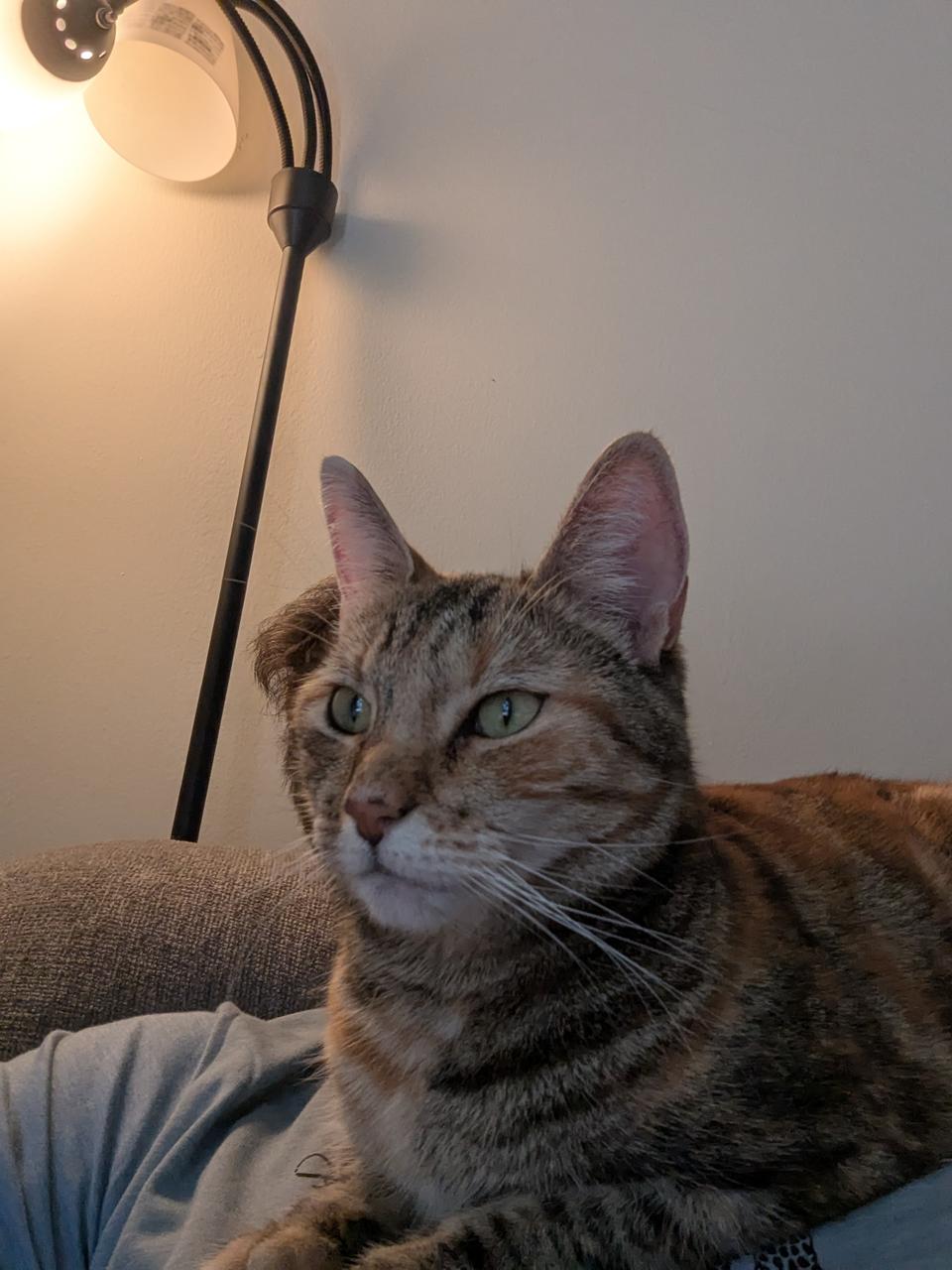 Profile photo 2 of 10