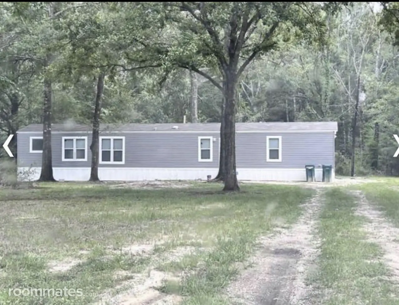 Profile photo 9 of 12