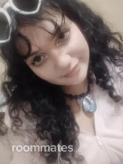 Roommate looking Rochester, NY, $900