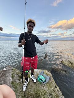 Roommate looking New Bedford MA, $1000