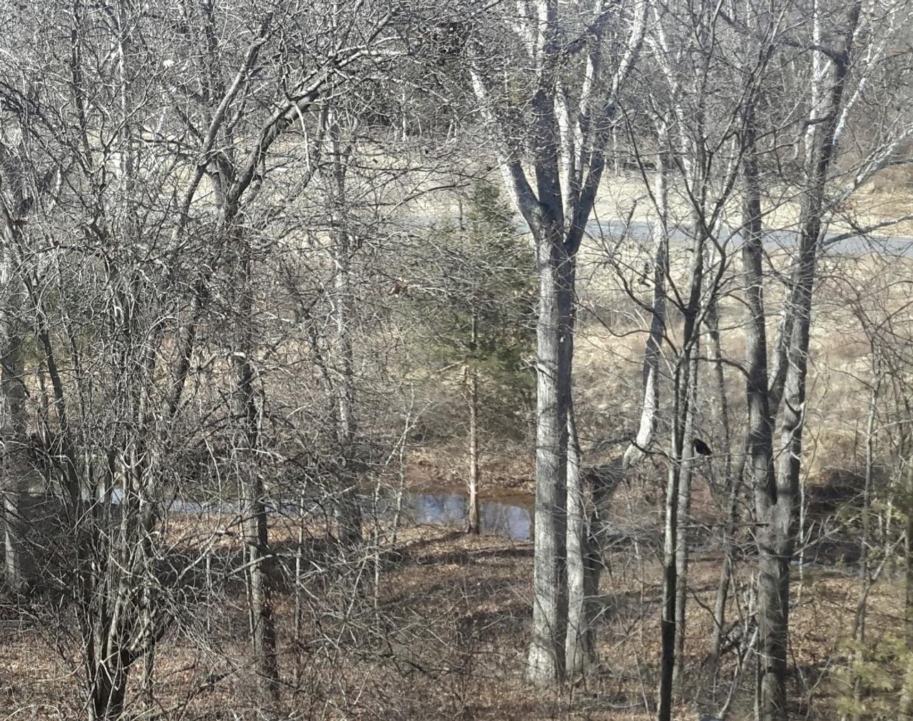 Profile photo 1 of 7