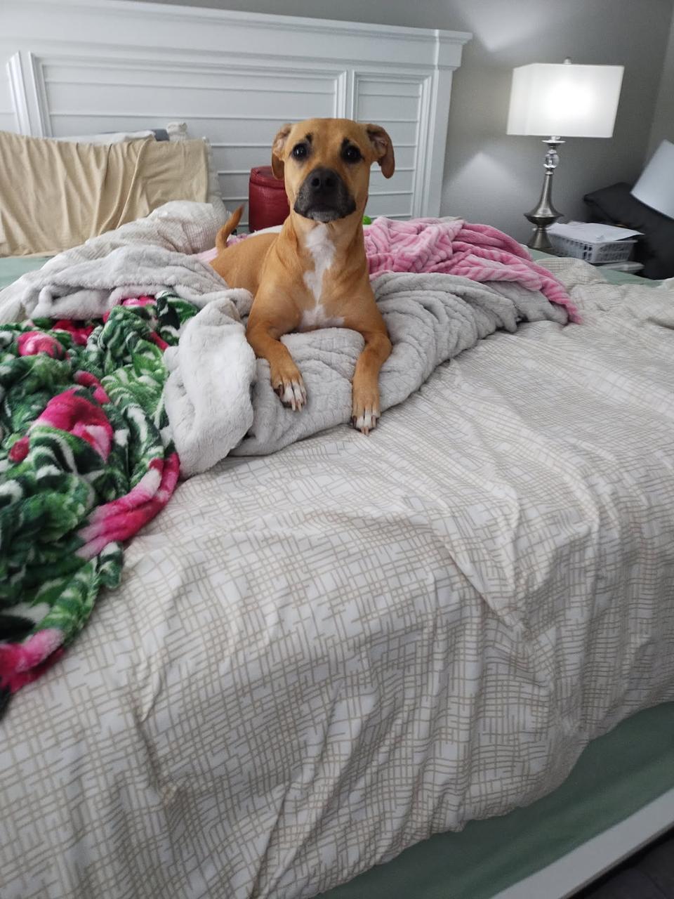 Profile photo 7 of 7