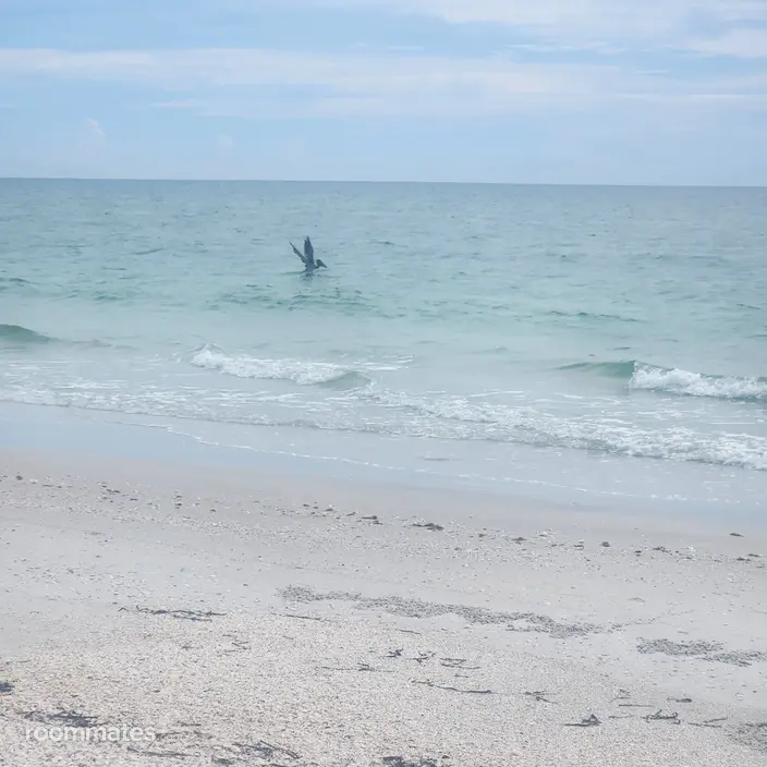 Room for rent in Rotonda West, FL $1250, other