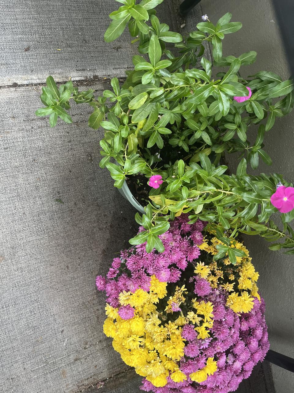 Profile photo 6 of 13