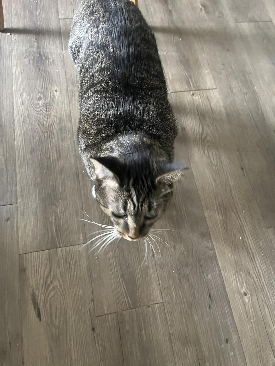 Profile photo 5 of 13