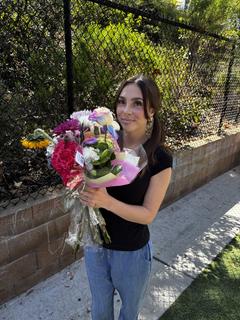 Roommate looking La Mesa, CA, $900
