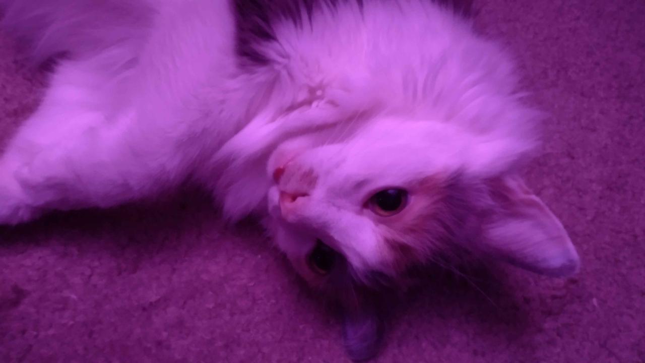 Profile photo 1 of 1